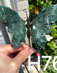 Small Butterfly Wings