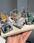 Specimen Display Box