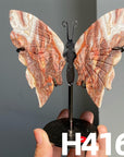 Small Butterfly Wings