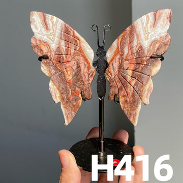 Small Butterfly Wings