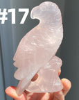Rose Quartz Parrot
