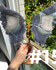 Druzy Agate Butterfly Wings