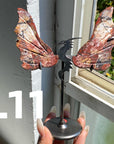 Dragon Wings