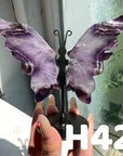 Small Butterfly Wings