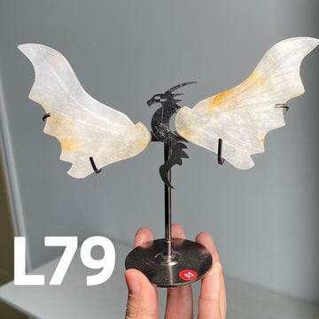 Dragon Wings