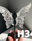 Small Butterfly Wings