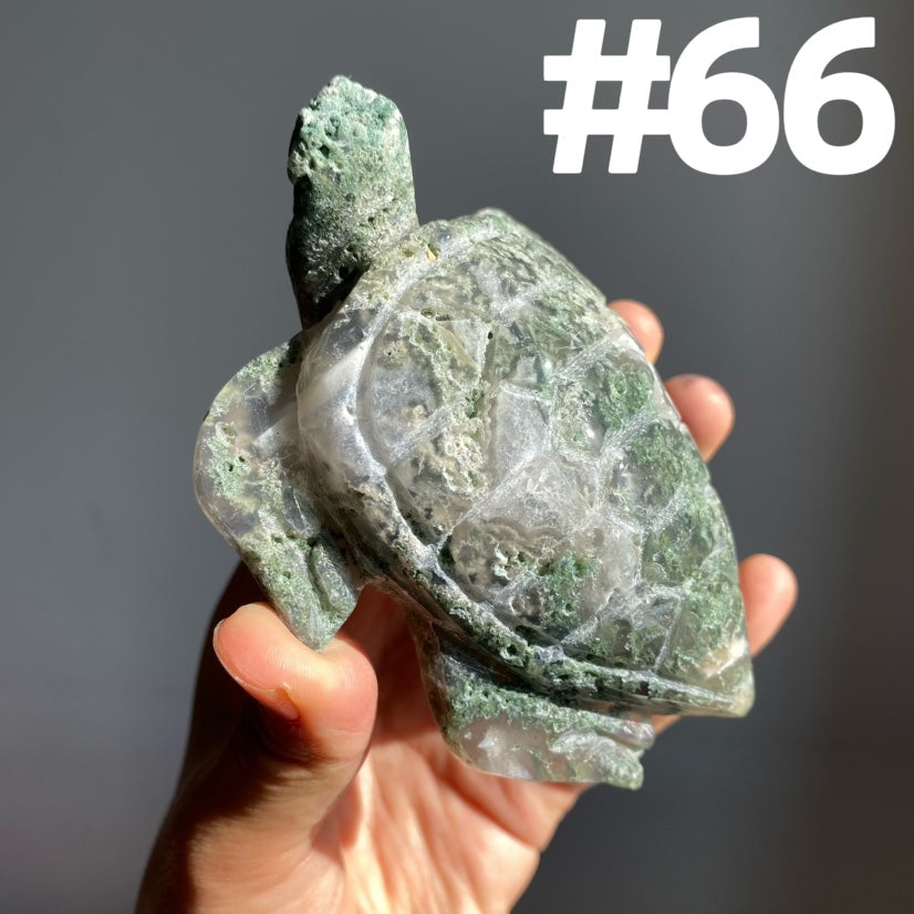 Moss Agate Turtle