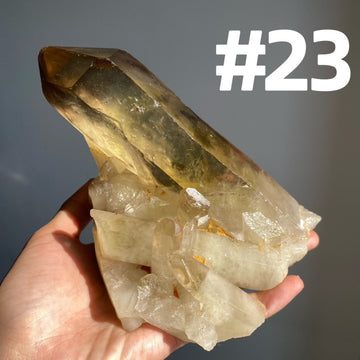 Smoky Quartz Big Specimen