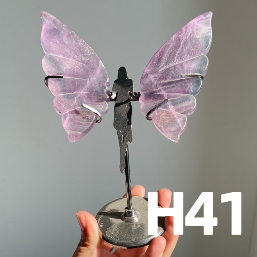 Small Butterfly Wings