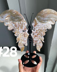 Large Butterfly Wings