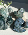 Moss Agate Snail