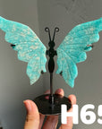 Small Butterfly Wings