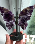 Small Butterfly Wings