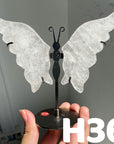 Small Butterfly Wings