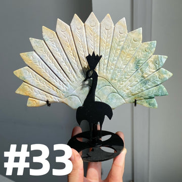 Clearance Peacock Wings