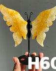Small Butterfly Wings
