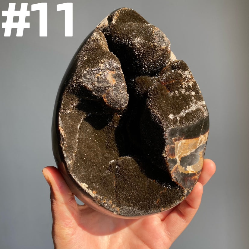 Septarian Egg & Freeform