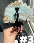 Clearance Peacock Wings