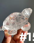 Crystal Turtle