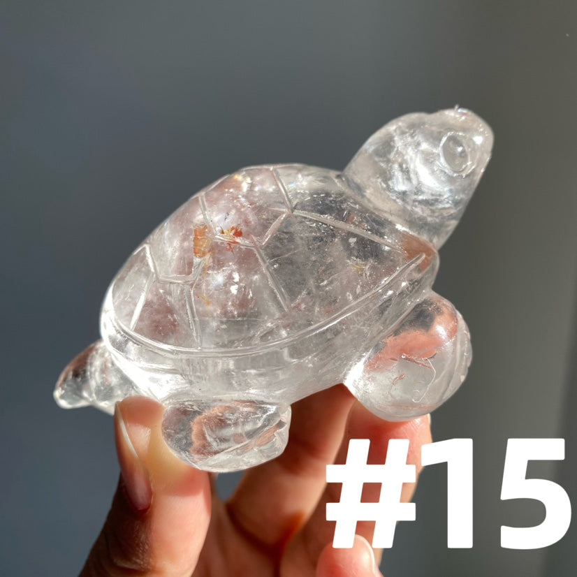 Crystal Turtle