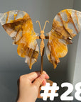Golden Healer Butterflly (imperfect)