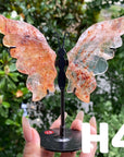 Small Butterfly Wings
