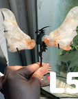Dragon Wings