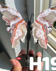 Small Butterfly Wings