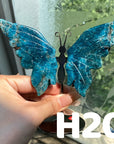 Small Butterfly Wings