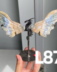 Dragon Wings