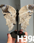Small Butterfly Wings
