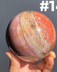 Petrified Wood Sphere