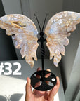 Large Butterfly Wings