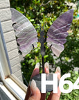 Small Butterfly Wings