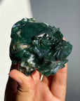 Moss Agate Dragon Turtle