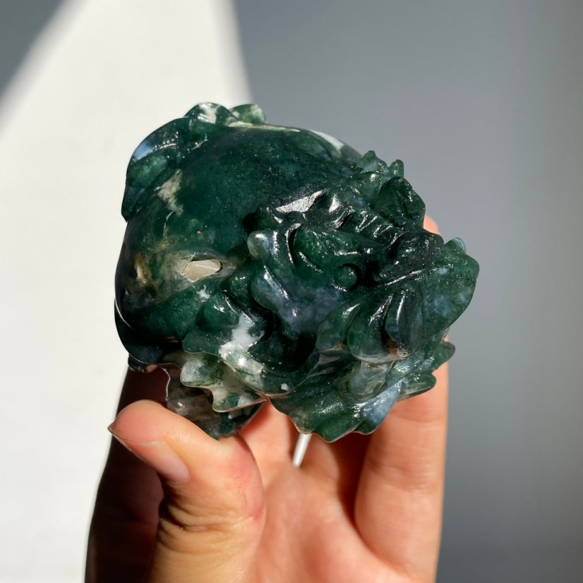 Moss Agate Dragon Turtle