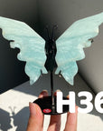 Small Butterfly Wings