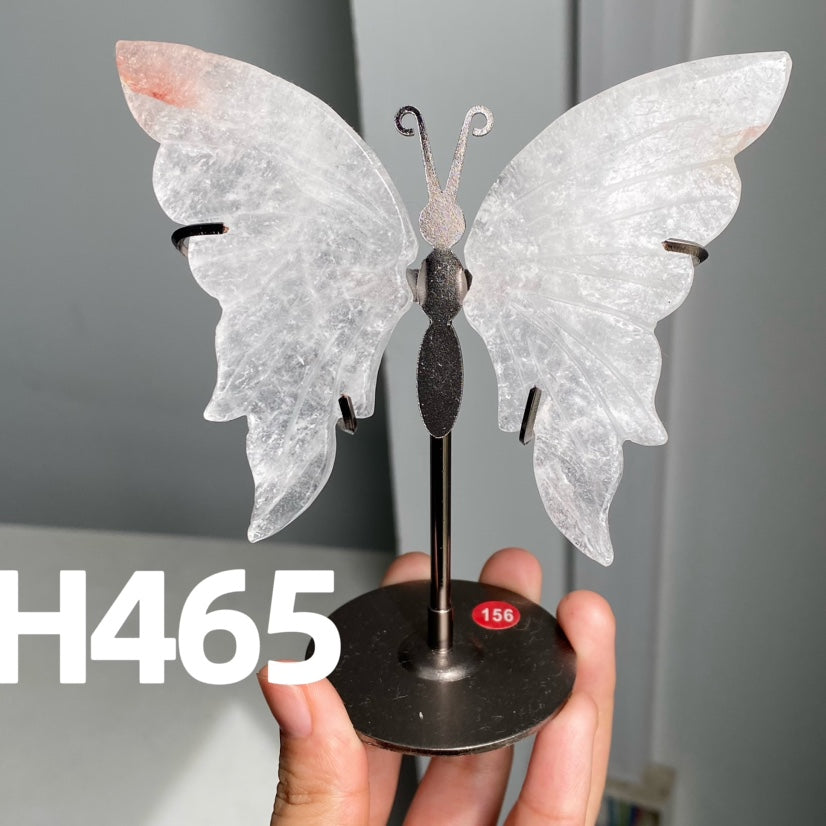 Small Butterfly Wings