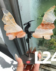 Dragon Wings