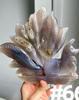 Druzy Agate 9 Tailed Fox