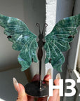 Small Butterfly Wings