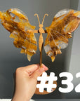 Golden Healer Butterflly (imperfect)