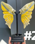 Bumble Bee Jasper Wings