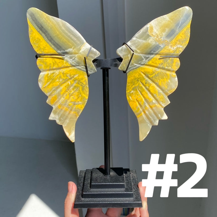 Bumble Bee Jasper Wings