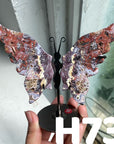 Small Butterfly Wings