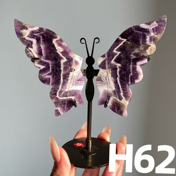 Small Butterfly Wings