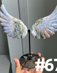 Angel Wings