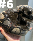 Septarian Egg & Freeform