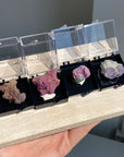 Specimen Display Box