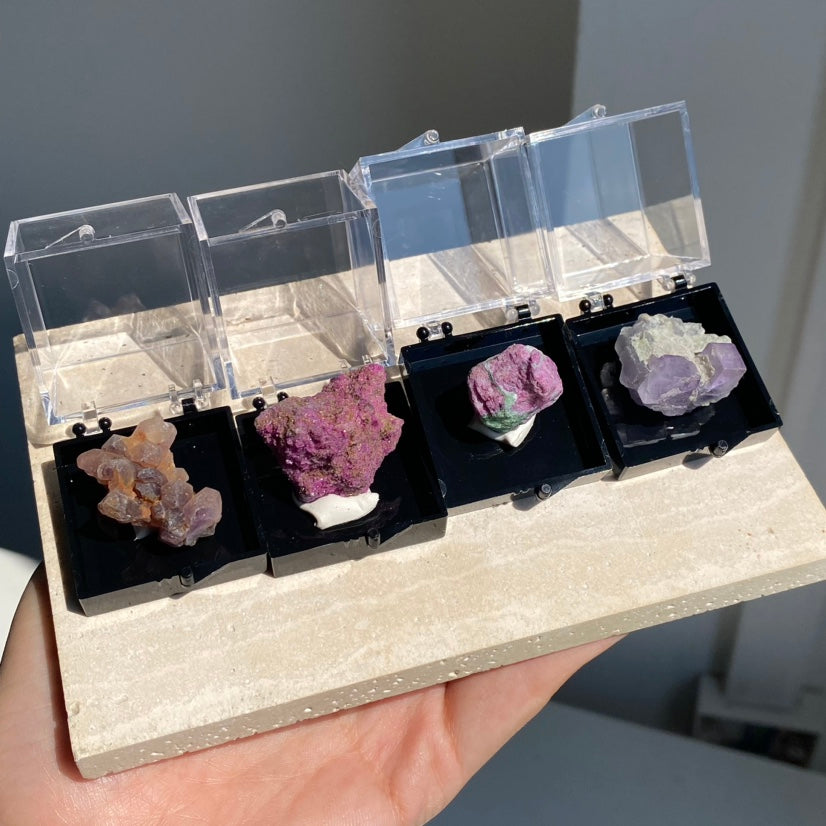Specimen Display Box